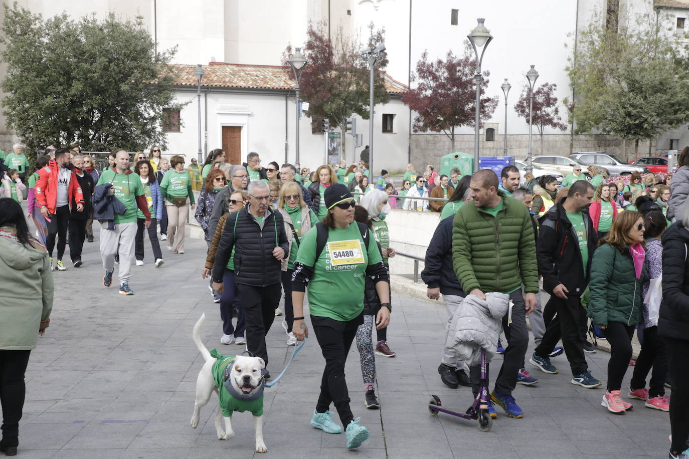 Fotos: La marcha contra el cáncer llena Valladolid de verde