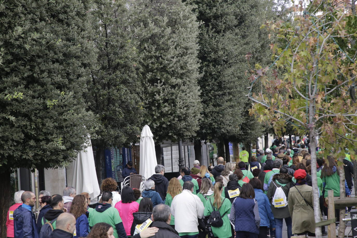 Fotos: La marcha contra el cáncer llena Valladolid de verde