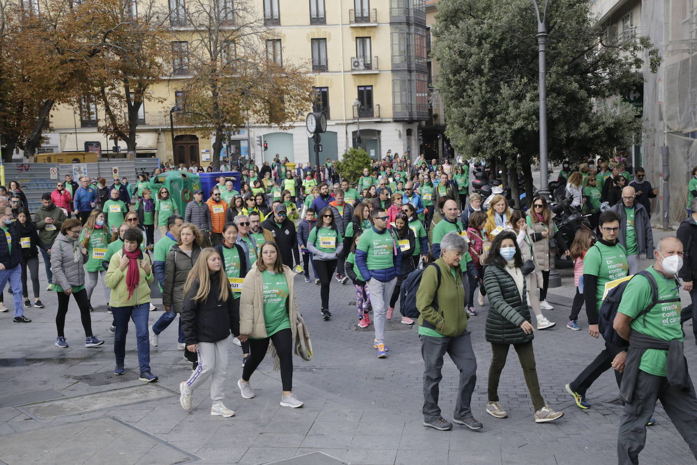 Fotos: La marcha contra el cáncer llena Valladolid de verde