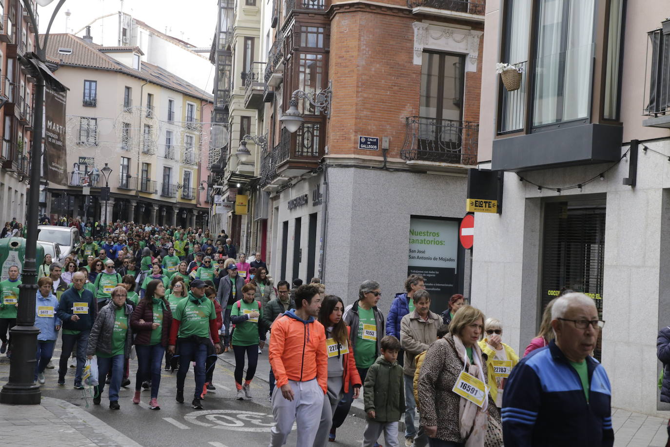 Fotos: La marcha contra el cáncer llena Valladolid de verde