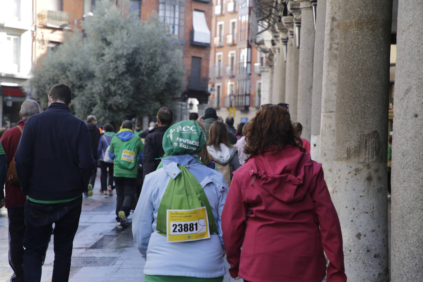 Fotos: La marcha contra el cáncer llena Valladolid de verde