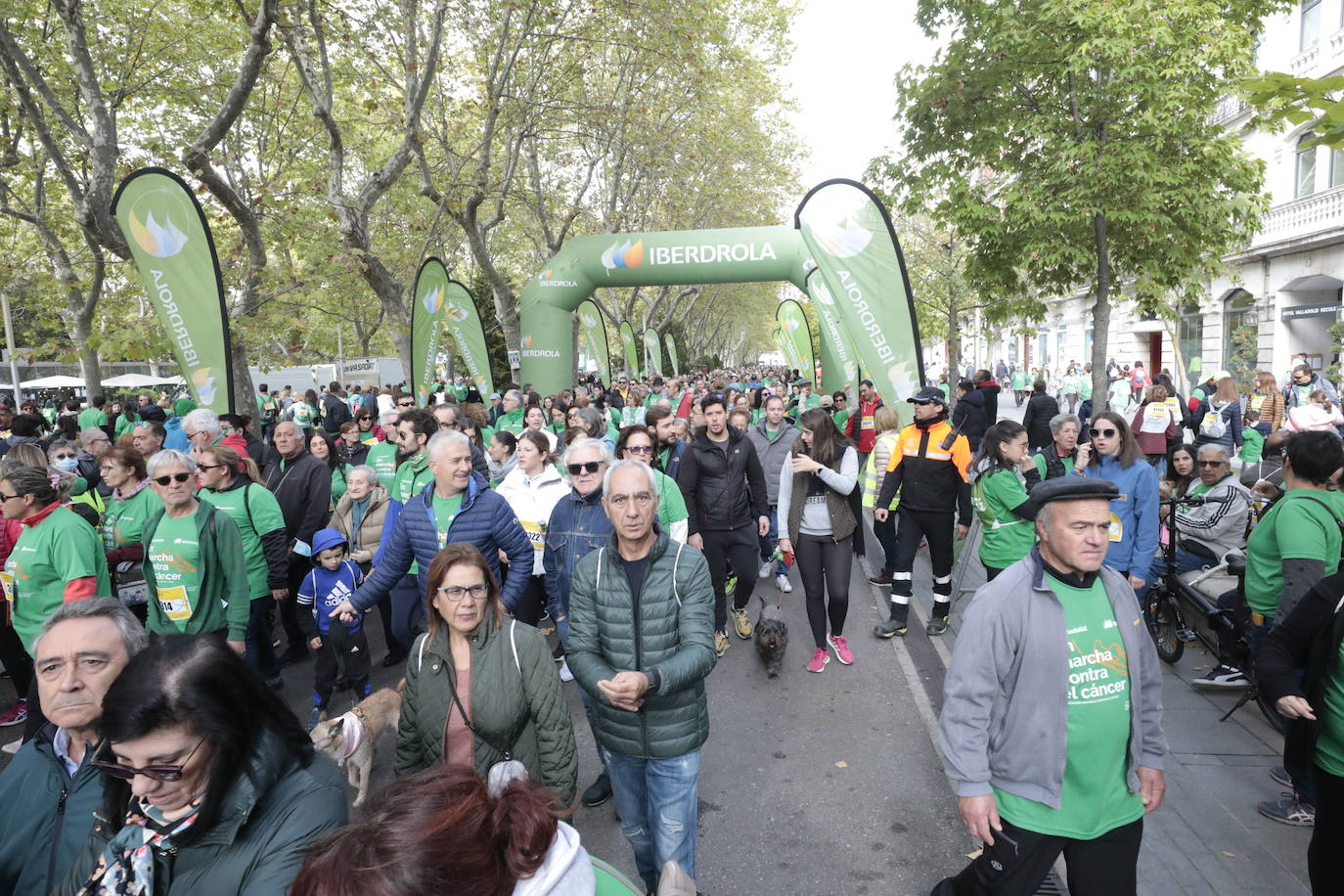 Fotos: La marcha contra el cáncer llena Valladolid de verde