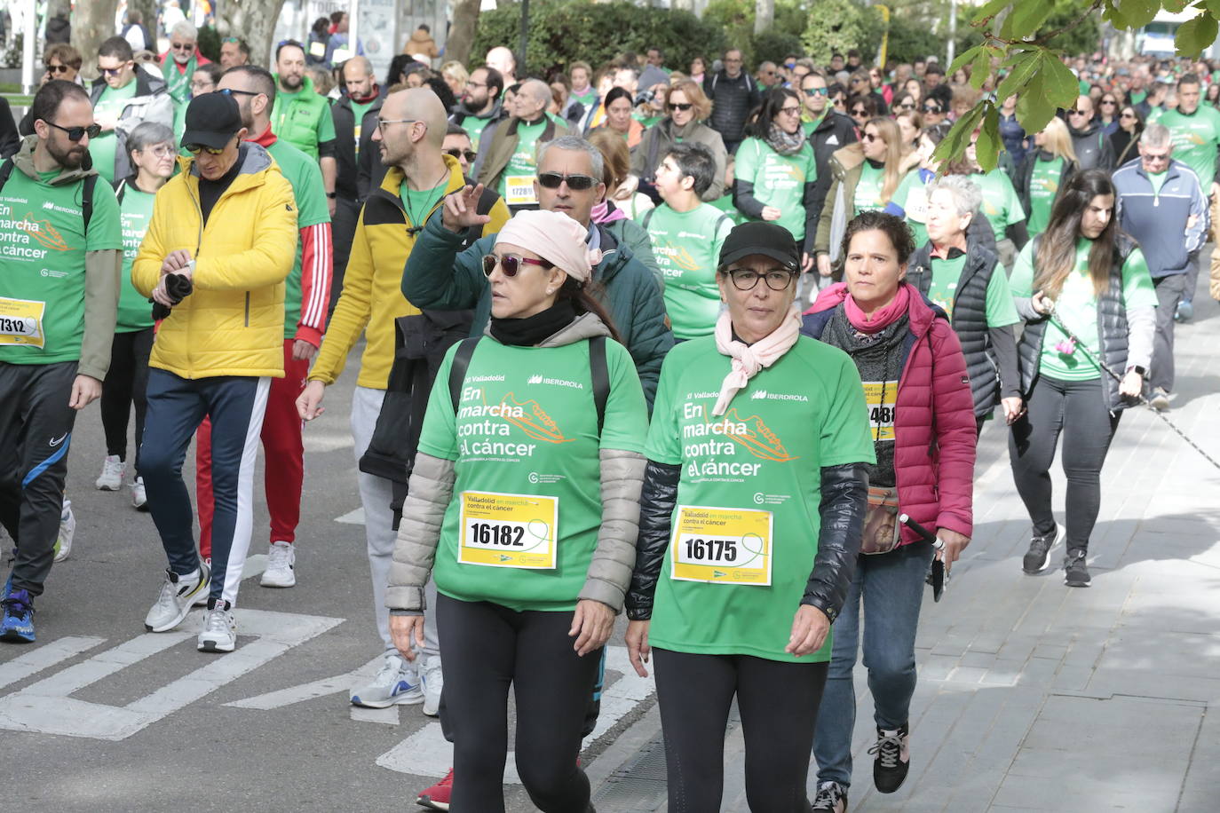 Fotos: La marcha contra el cáncer llena Valladolid de verde