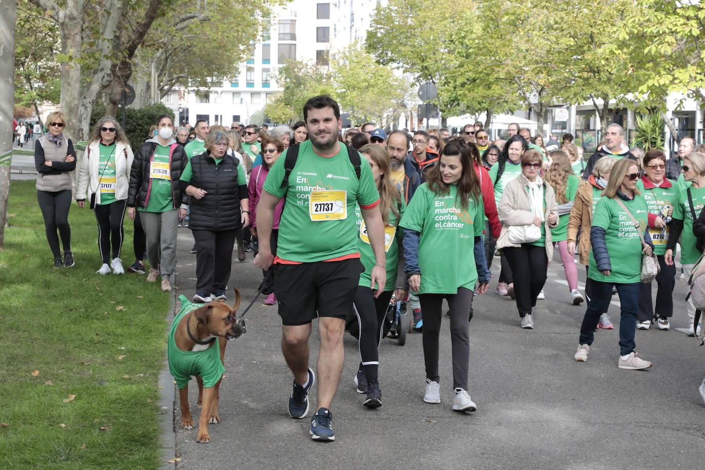 Fotos: La marcha contra el cáncer llena Valladolid de verde