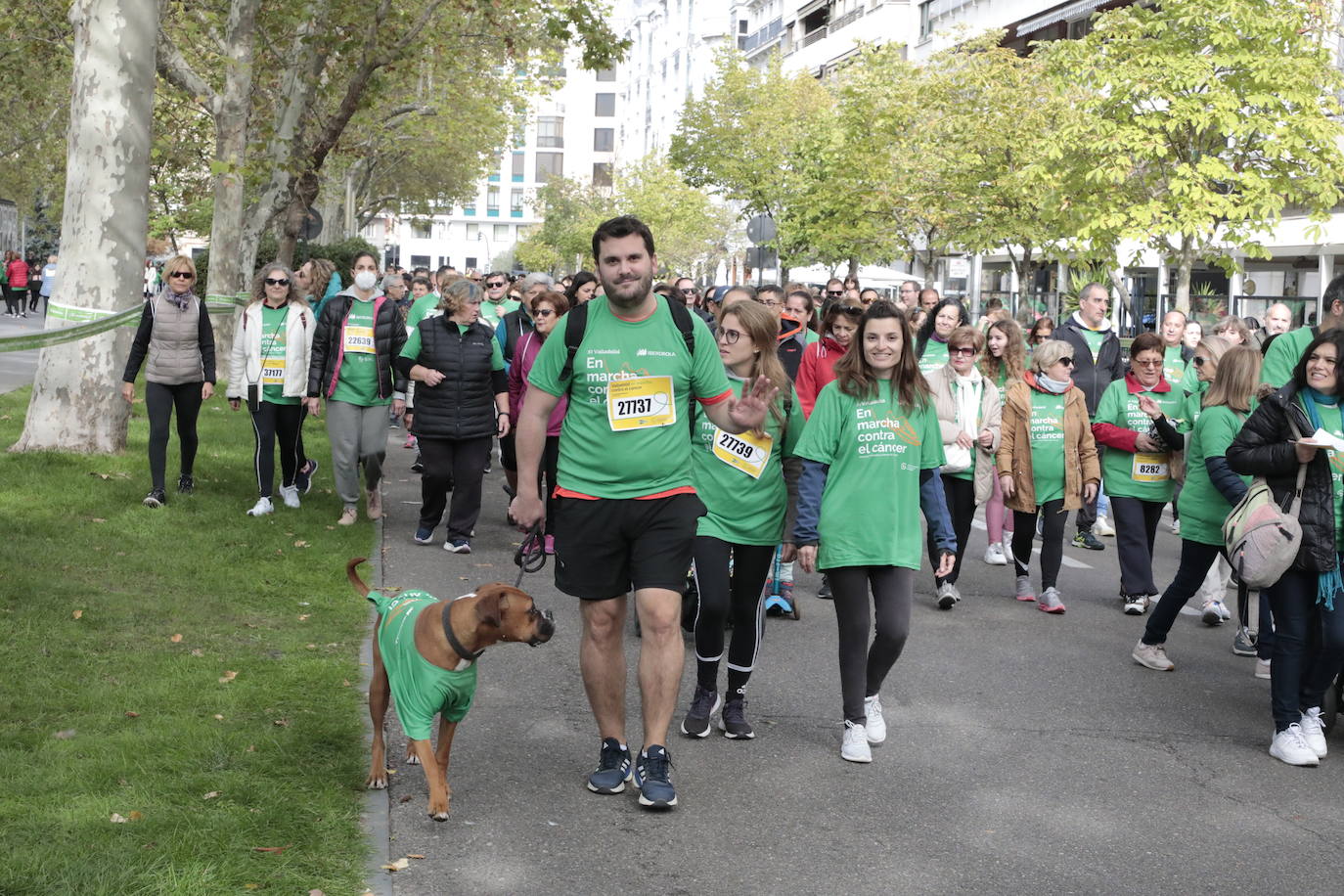 Fotos: La marcha contra el cáncer llena Valladolid de verde