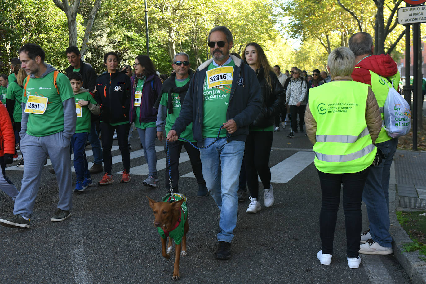 Fotos: Búscate en las fotos de la XI Marcha Contra el Cáncer