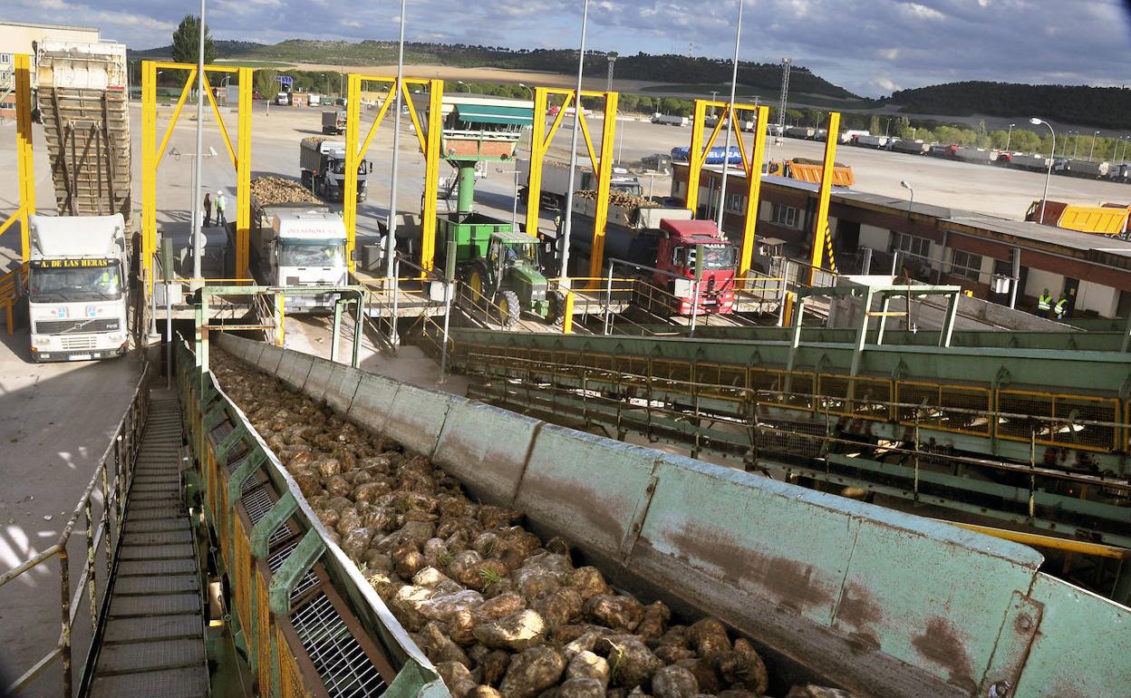 Instalaciones de recepción de remolacha de la planta de Acor en Olmedo. 