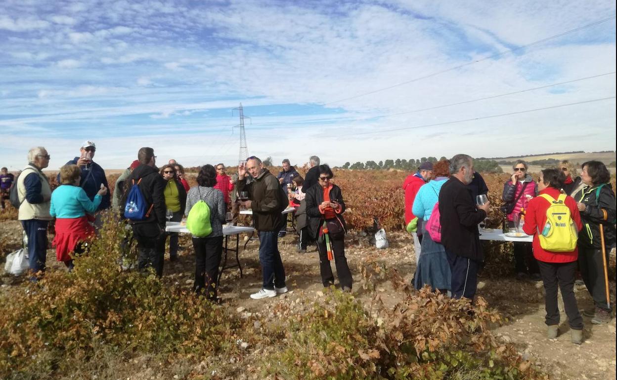 Participantes en la actividad 'A la rebusca' de años anteriores 