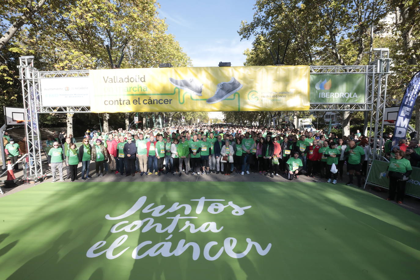 Fotos: La marcha contra el cáncer llena Valladolid de verde