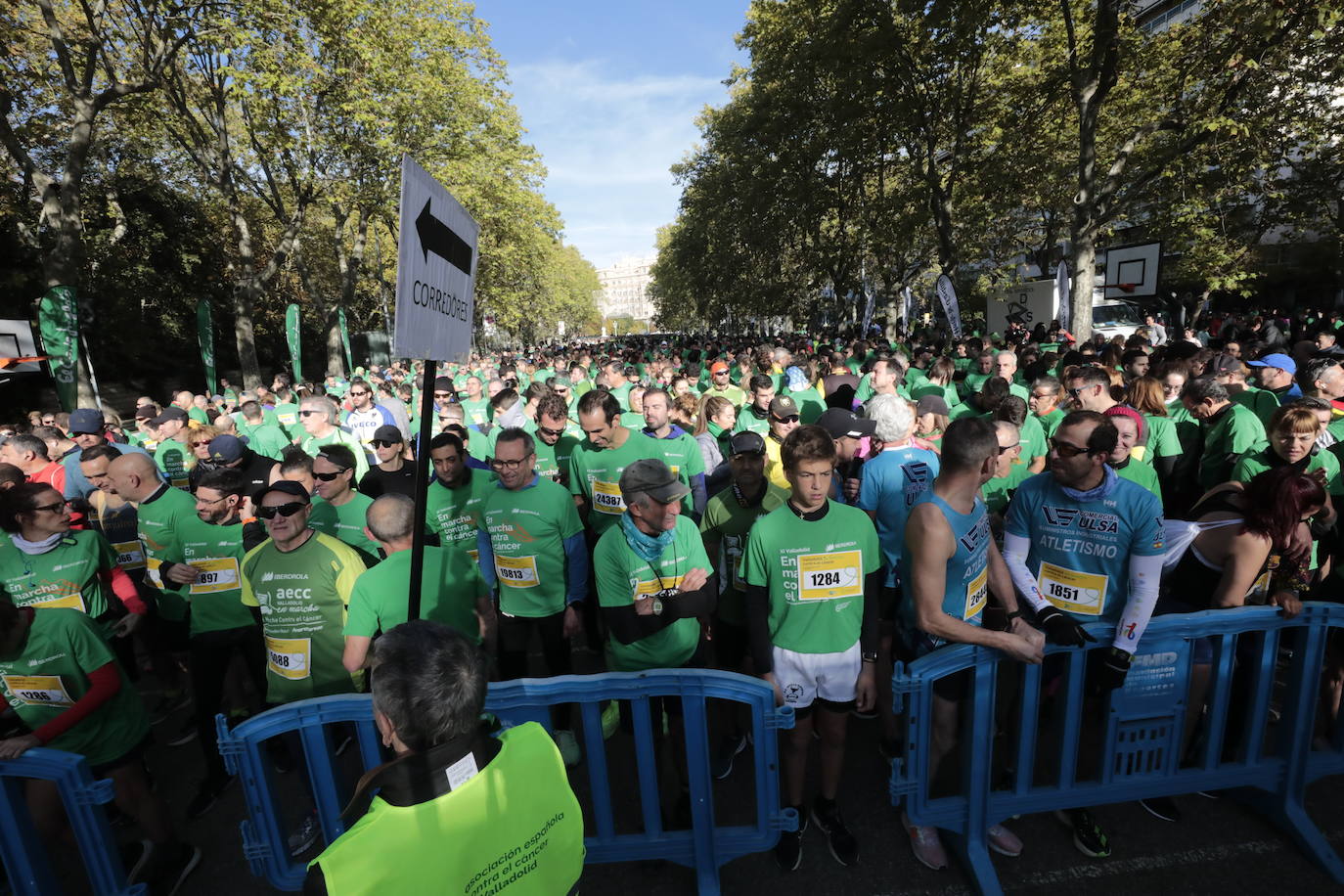 Fotos: La marcha contra el cáncer llena Valladolid de verde