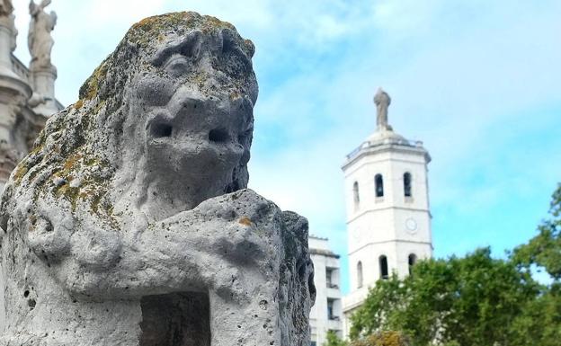 El león de la Catedral de Valladolid