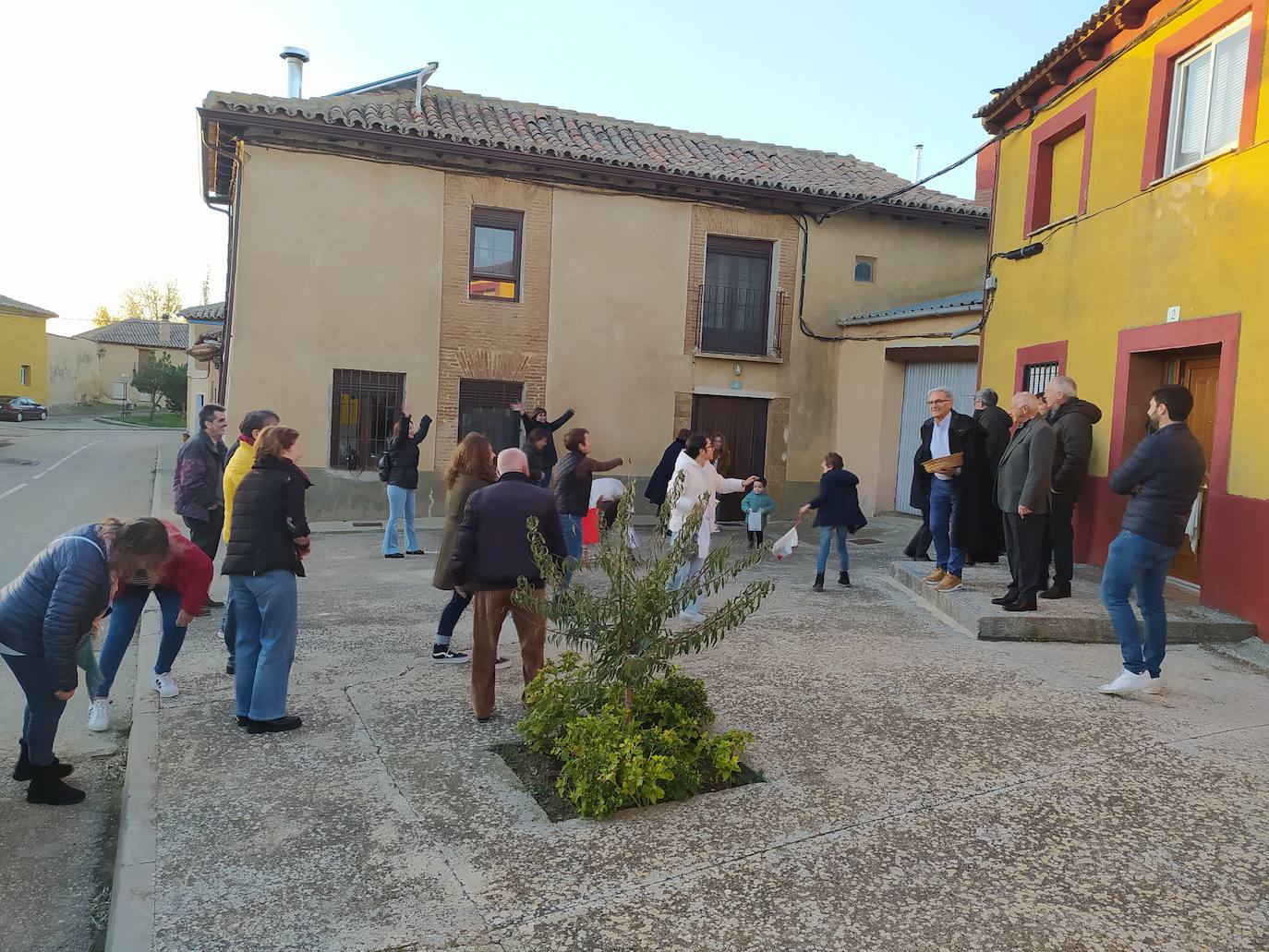 Los vecinos de Villán de Campos recogen las castañas. 