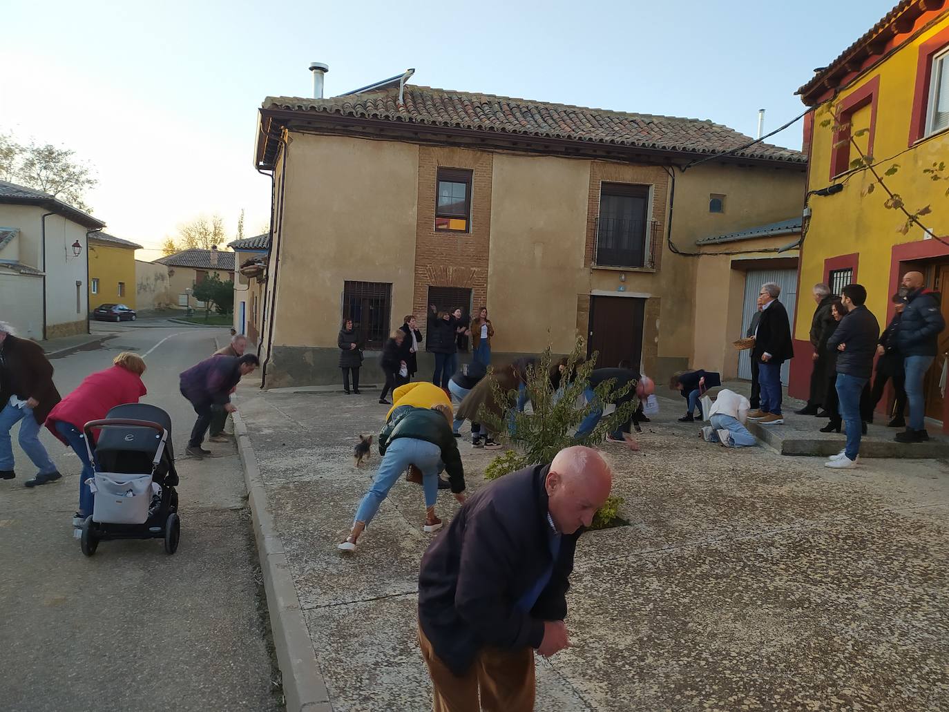 Los vecinos de Villán de Campos recogen las castañas. 