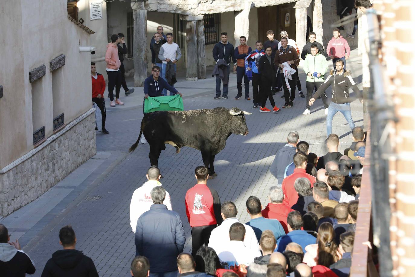 Fotos: Galería de imágenes | Encierro urbano de las fiestas de San Martín de Tours de Traspinedo