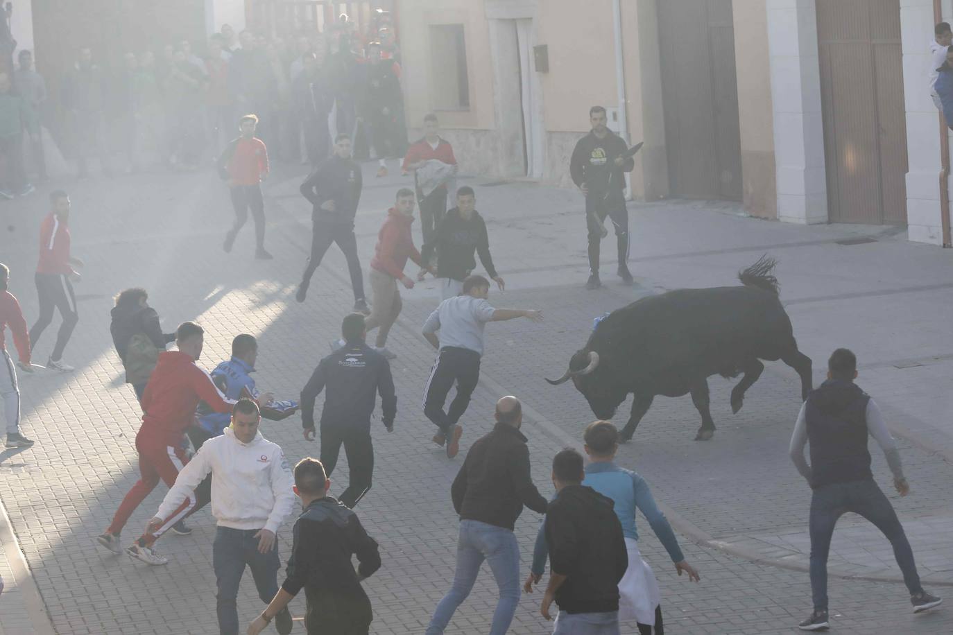 Fotos: Galería de imágenes | Encierro urbano de las fiestas de San Martín de Tours de Traspinedo