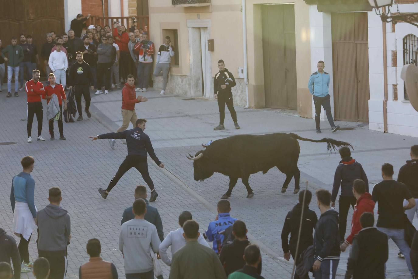 Fotos: Galería de imágenes | Encierro urbano de las fiestas de San Martín de Tours de Traspinedo