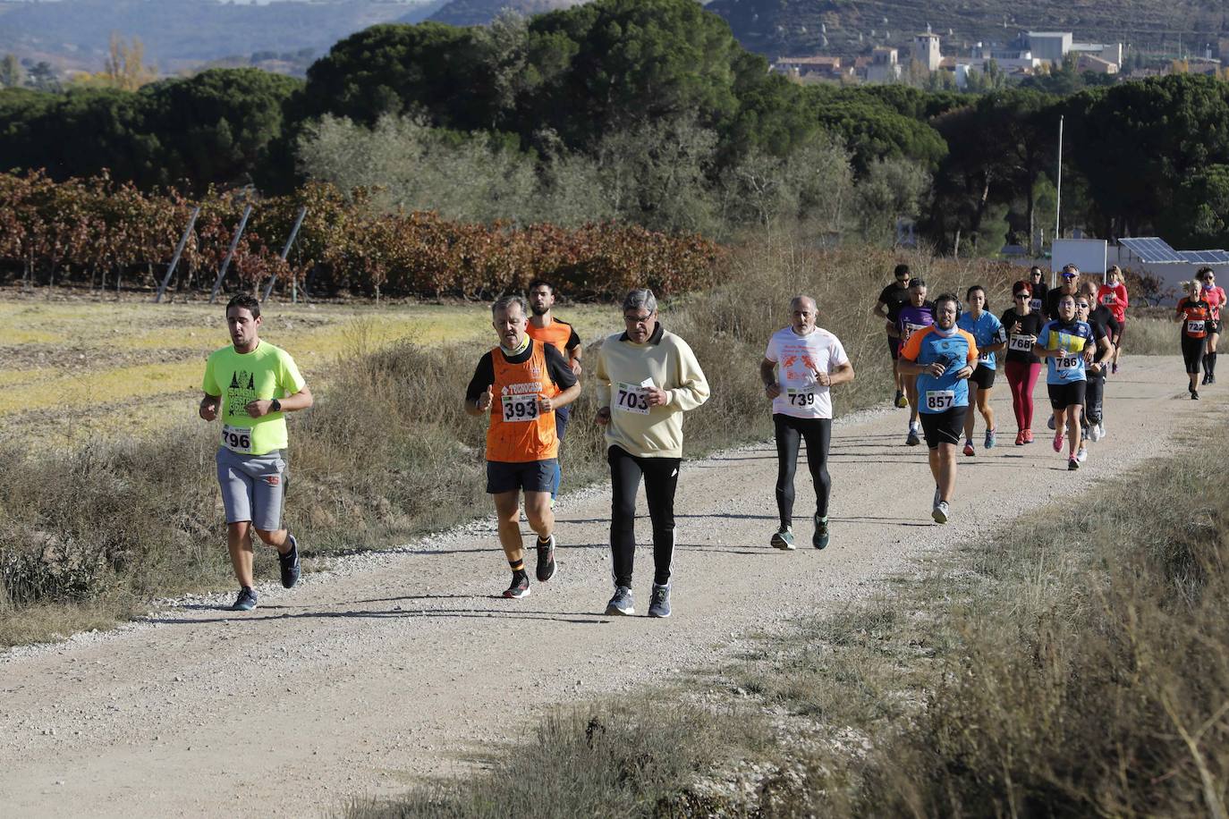 Fotos: Carrera en Peñafiel del del circuito Corriendo entre Viñas
