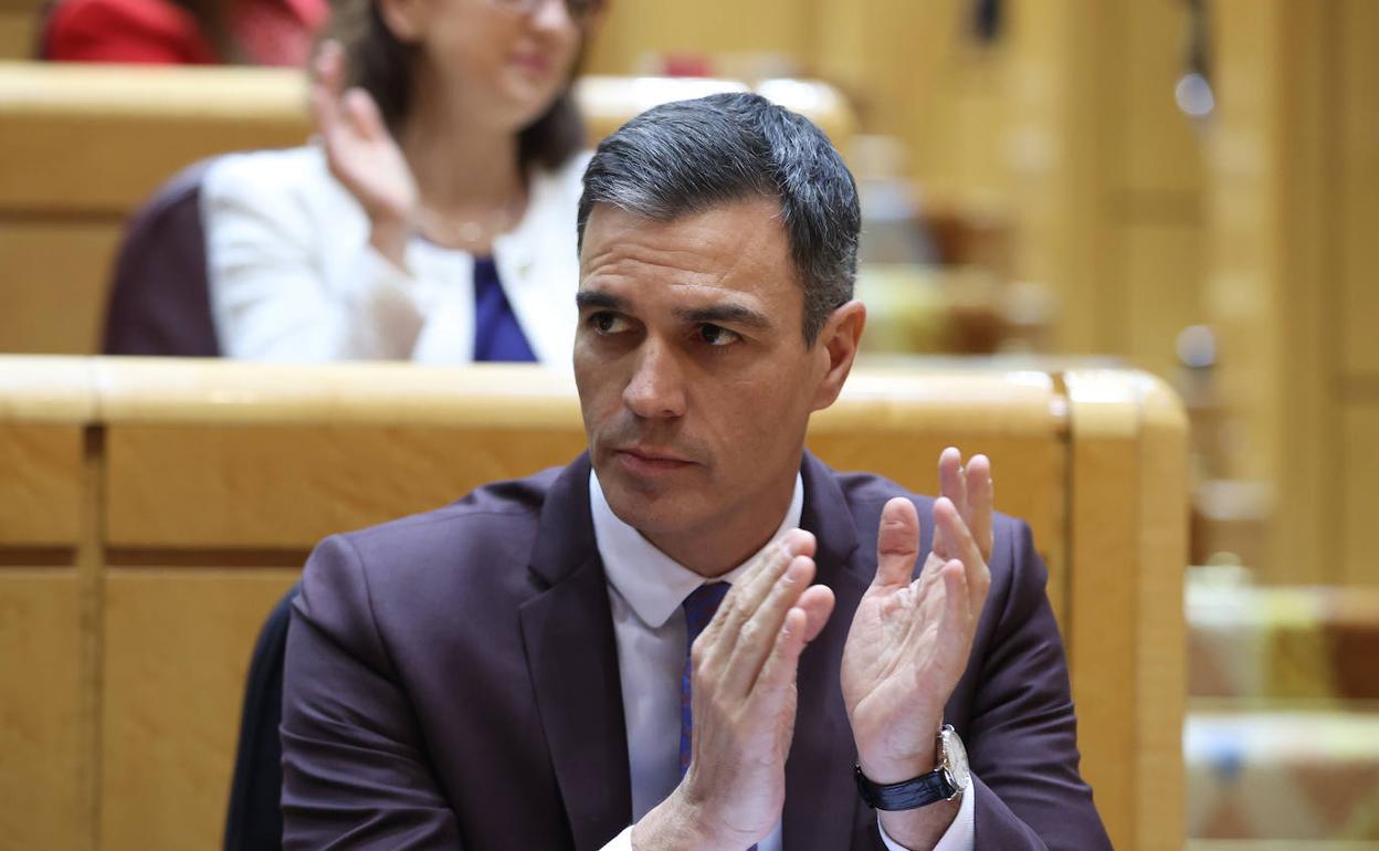 Pedro Sánchez en el Senado.