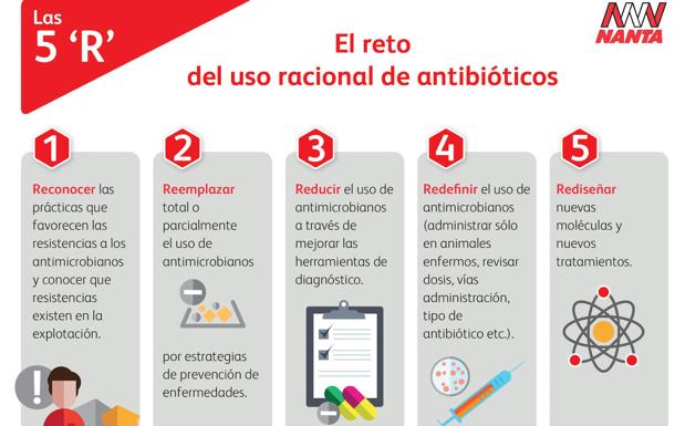 Nanta cumple sus objetivos de reducción del uso de antibióticos en piensos