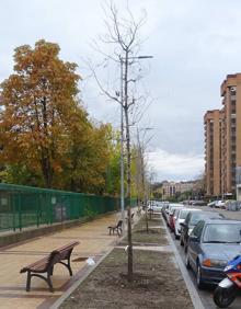 Imagen secundaria 2 - Arriba, árboles plantados en la plazoleta de la calle Falla del Cuatro de Marzo. Debajo, a la izquierda, el parterre de Cánovas del Castillo. A la derecha, el nuevo arbolado de la calle Ratrojo. 