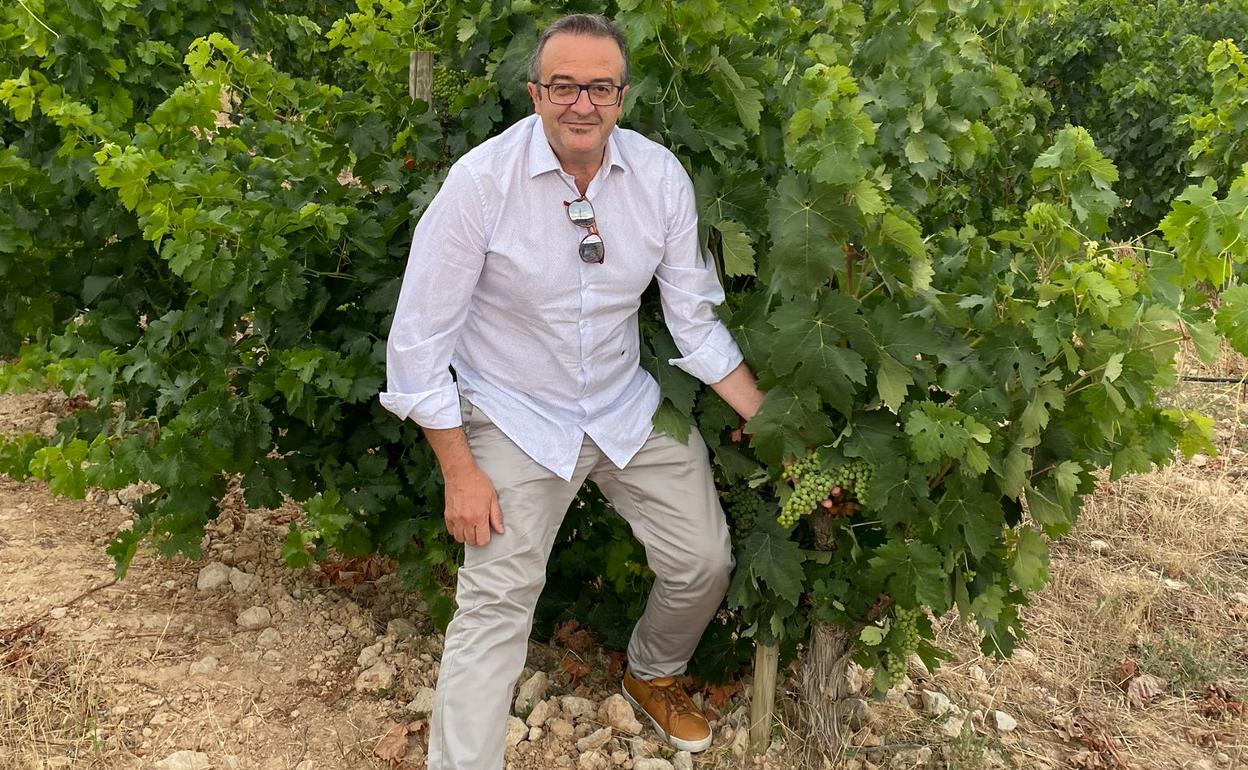 Ismael de los Mozos: «Elaboro vino casero para entretenerme y desconectar»