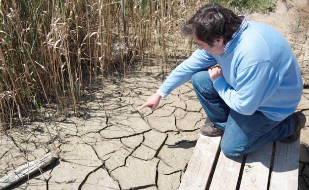 Una de las imágenes del informe, que muestra los efectos de la falta de agua en una zona antes húmeda.