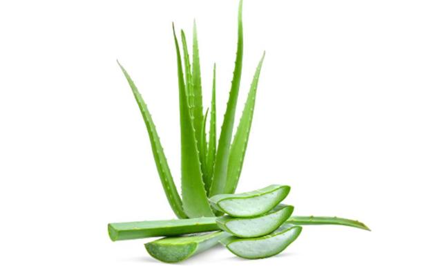 Ocho beneficios del aloe vera