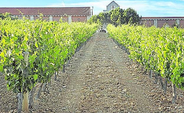 Exterior de la bodega. 