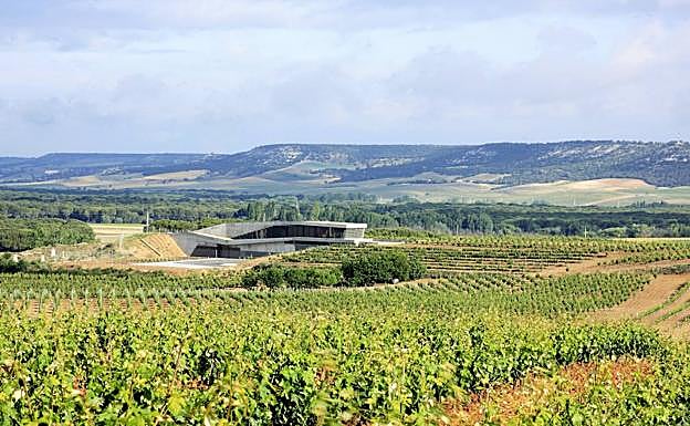 Viñedo y bodega de Tr3smano, en Padilla de Duero. 