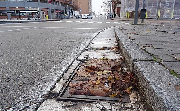 Las hojas cubren la alcantarilla en una de las zonas que se anegaron el martes, en la calle Ciudad de la Habana de Parquesol. 