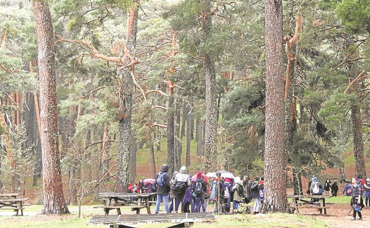 Turistas en la Reserva de la Biosfera, entre el Real Sitio de San Ildefonso y El Espinar. 
