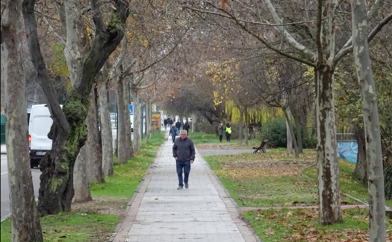 Paisaje invernal en la calle Eras, junto al Canal de Castilla. 