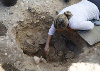 Imagen secundaria 1 - Buitre leonardo en una de las colinias de la zona. Excavaciones en Pintia y la Bajada del Ángel de Peñafiel. 