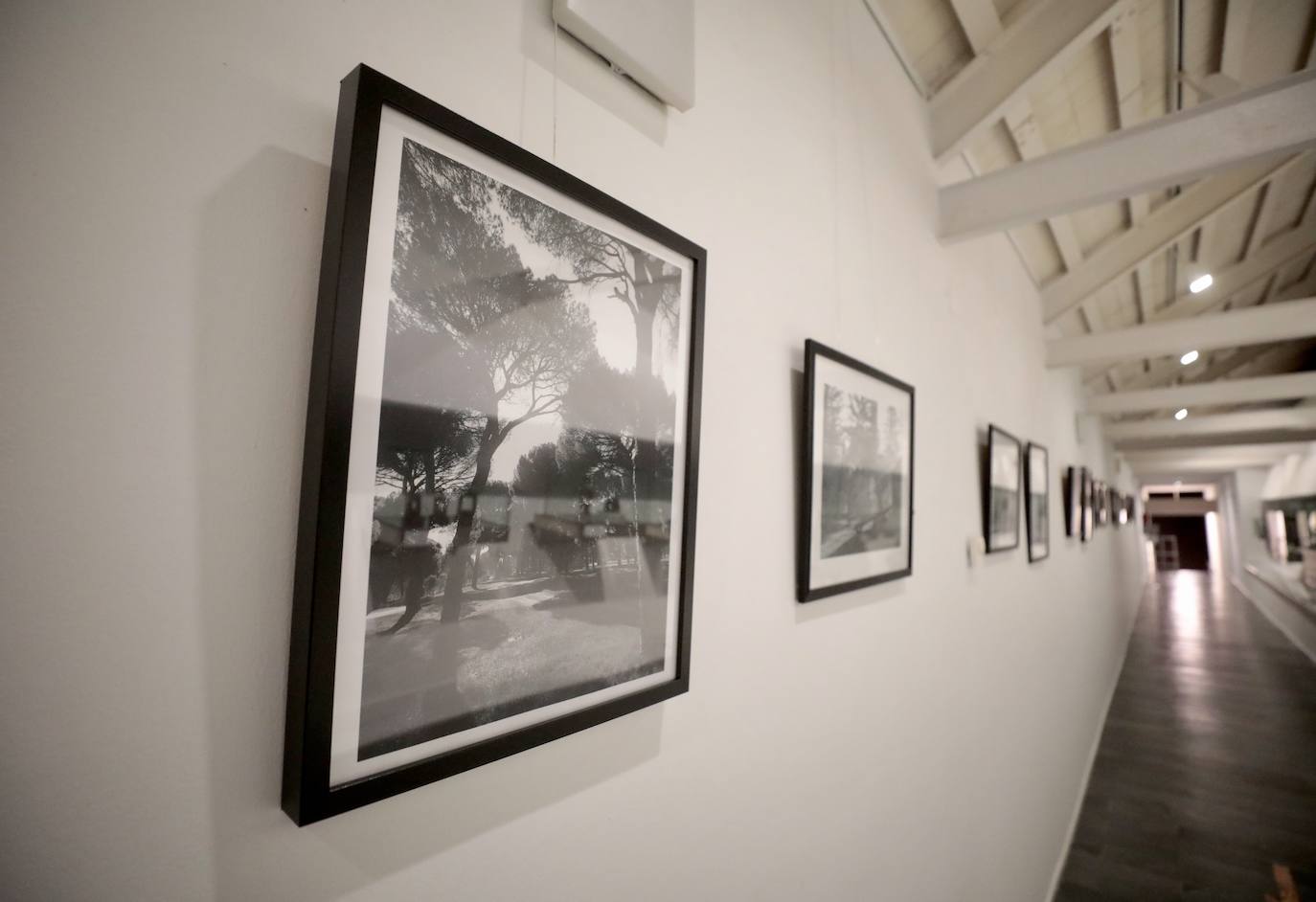 Fotos: Exposición de la fotógrafa Teresa Ulloa en Valladolid