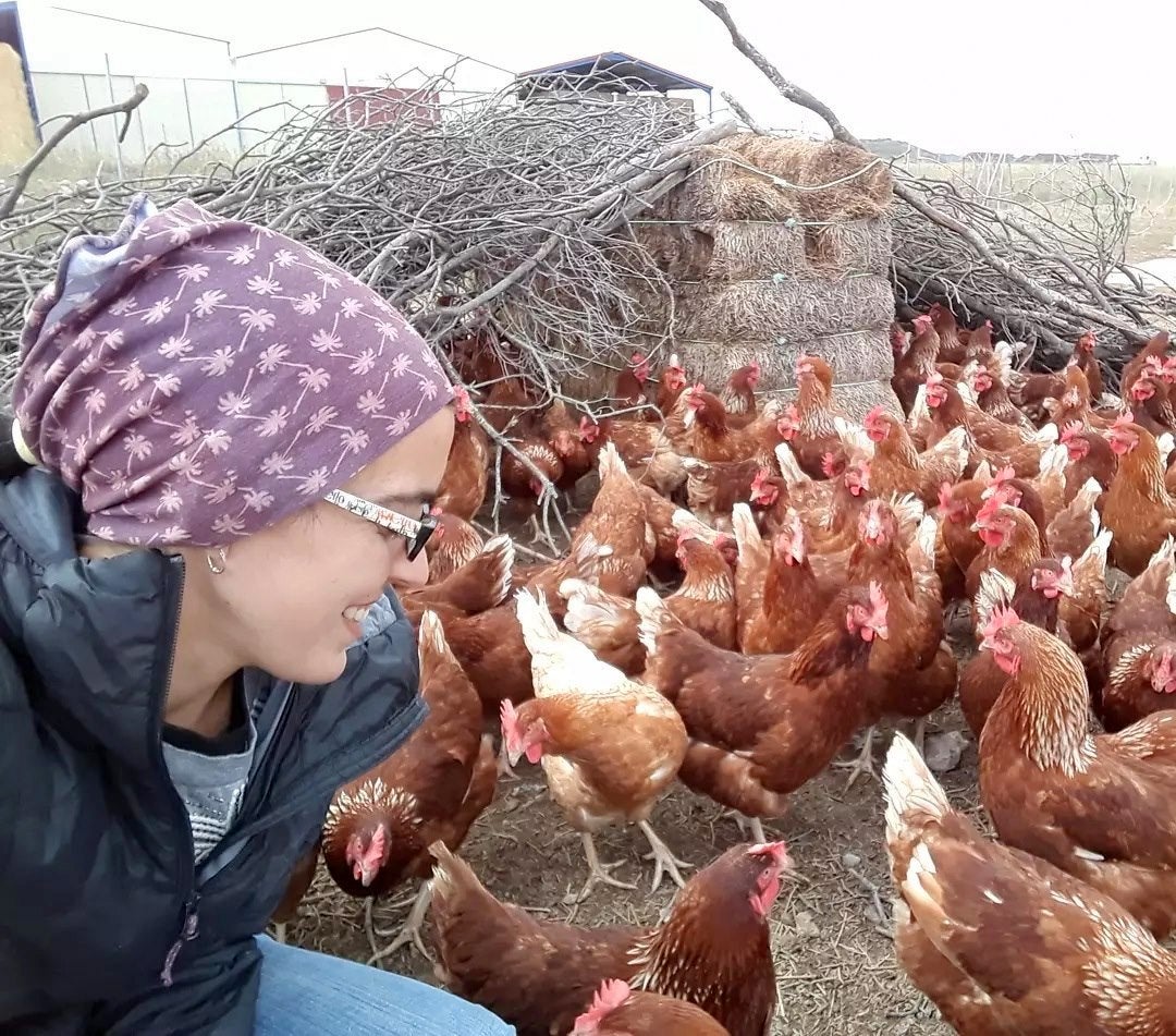 Las excursiones por el Cerrato son una de las citas clásicas de los cooperativistas