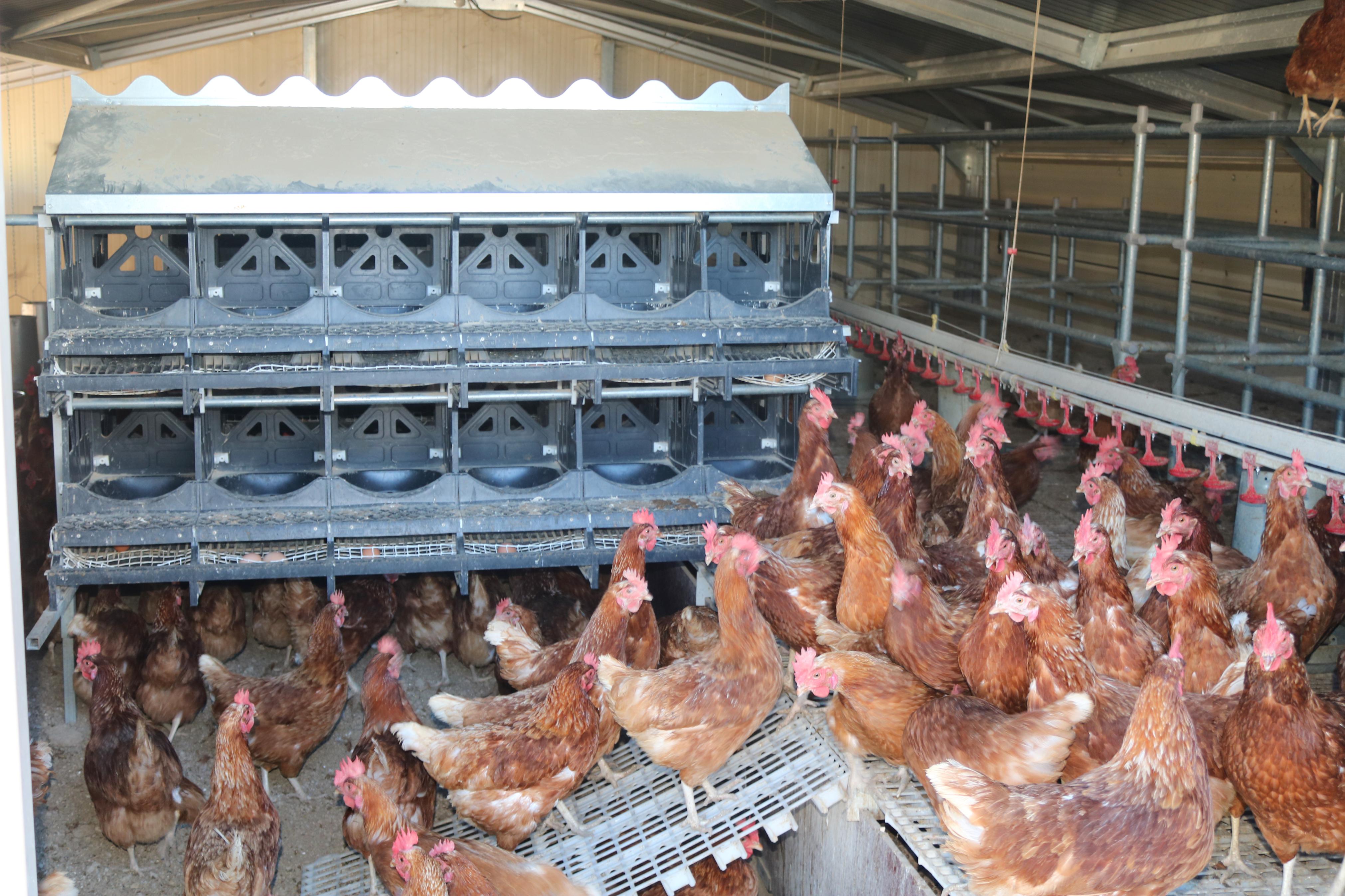 Las excursiones por el Cerrato son una de las citas clásicas de los cooperativistas