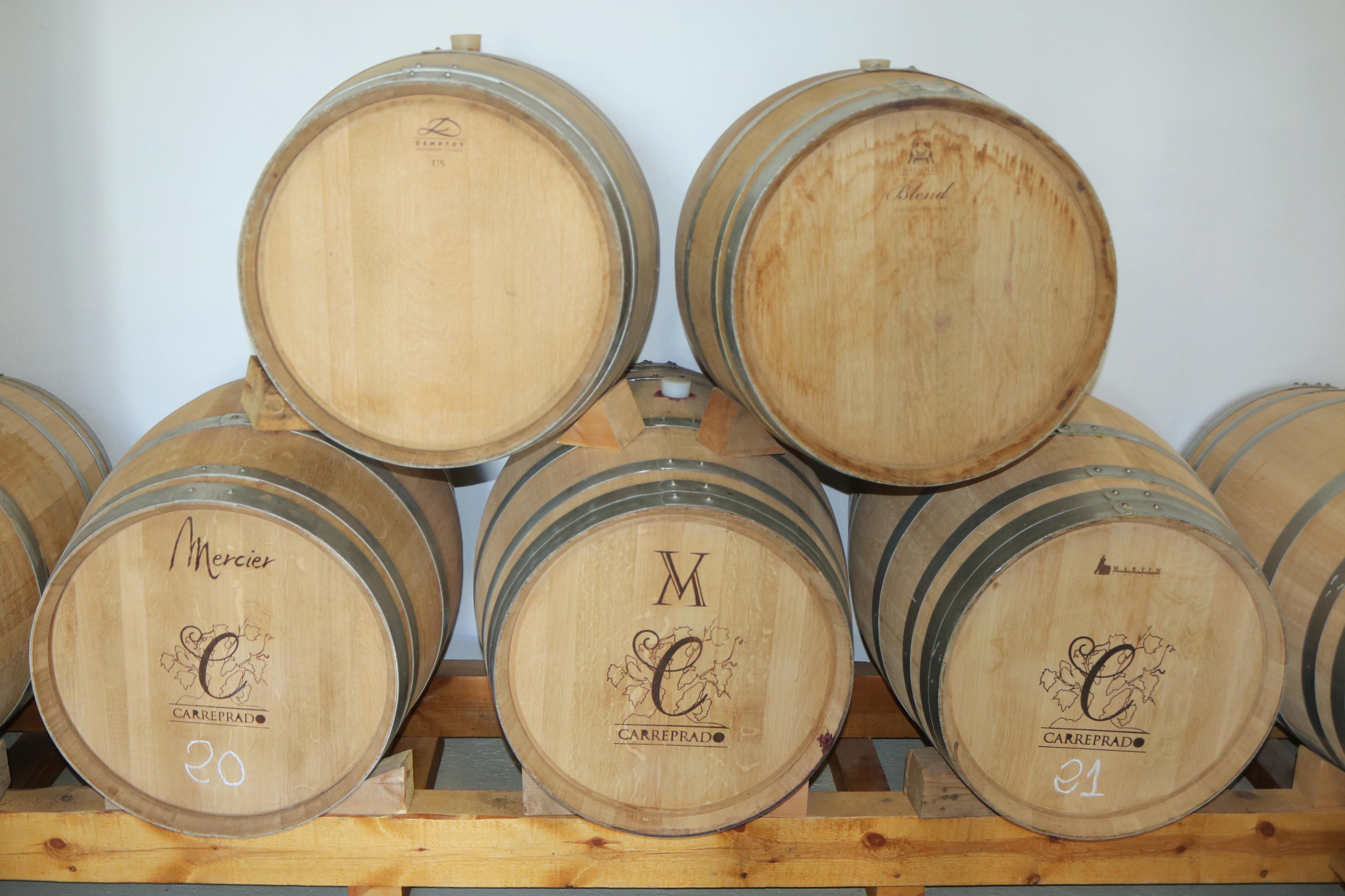 Las excursiones por el Cerrato son una de las citas clásicas de los cooperativistas