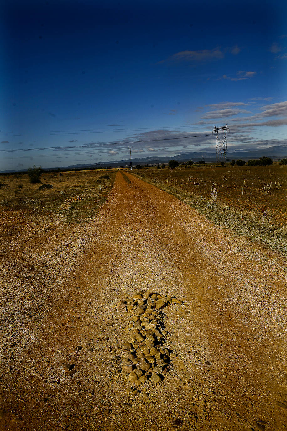 El camino recorre una recta que te lleva a los pies de la ciudad del Cocido Maragato y te adentras en el mundo de la Maragatería.