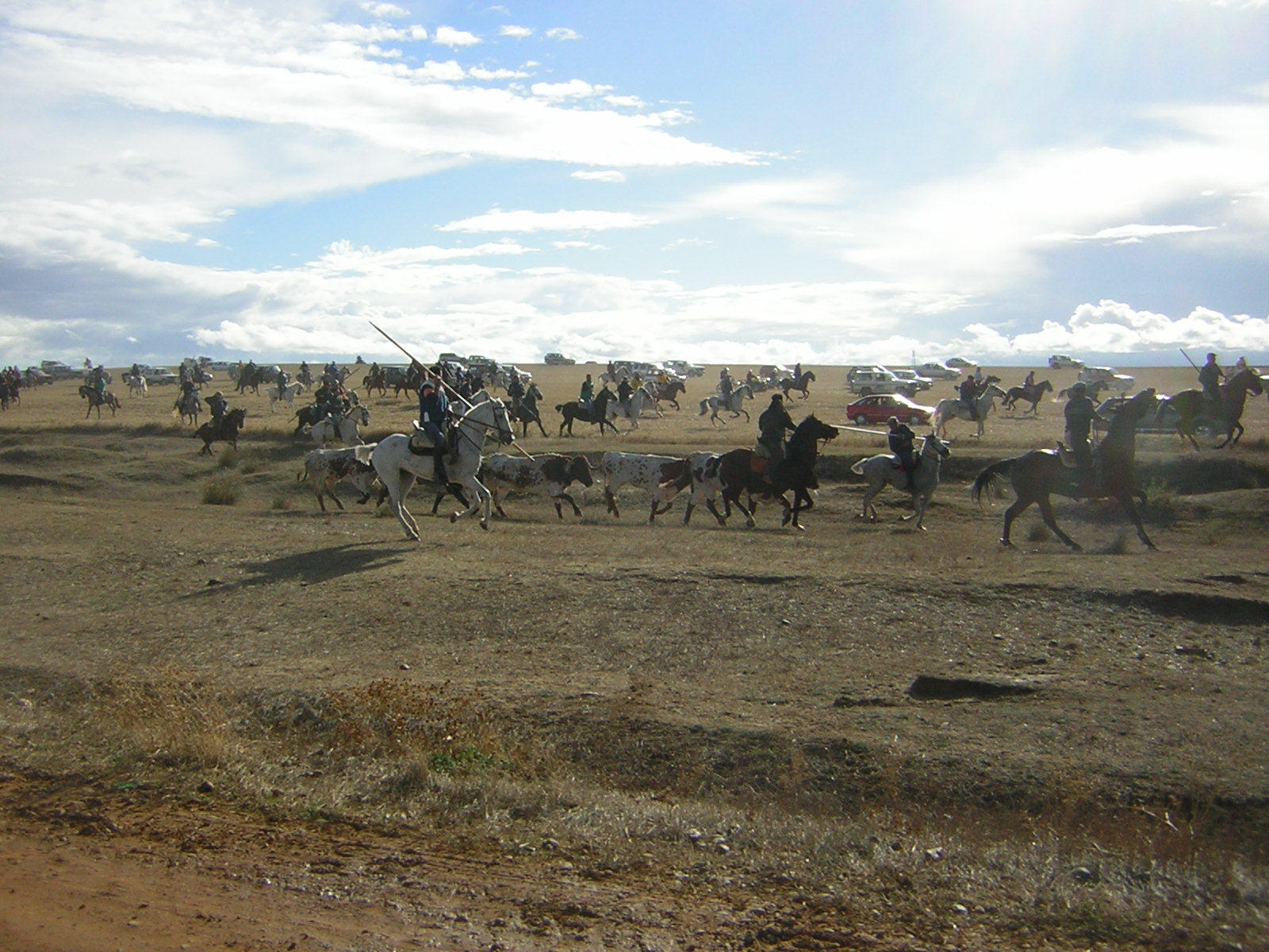 Los encierros de Mayorga, a lo largo de los años