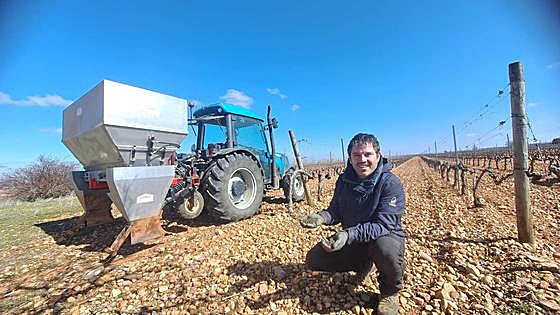 Las claves del abonado orgánico en el viñedo en la Ribera del Duero