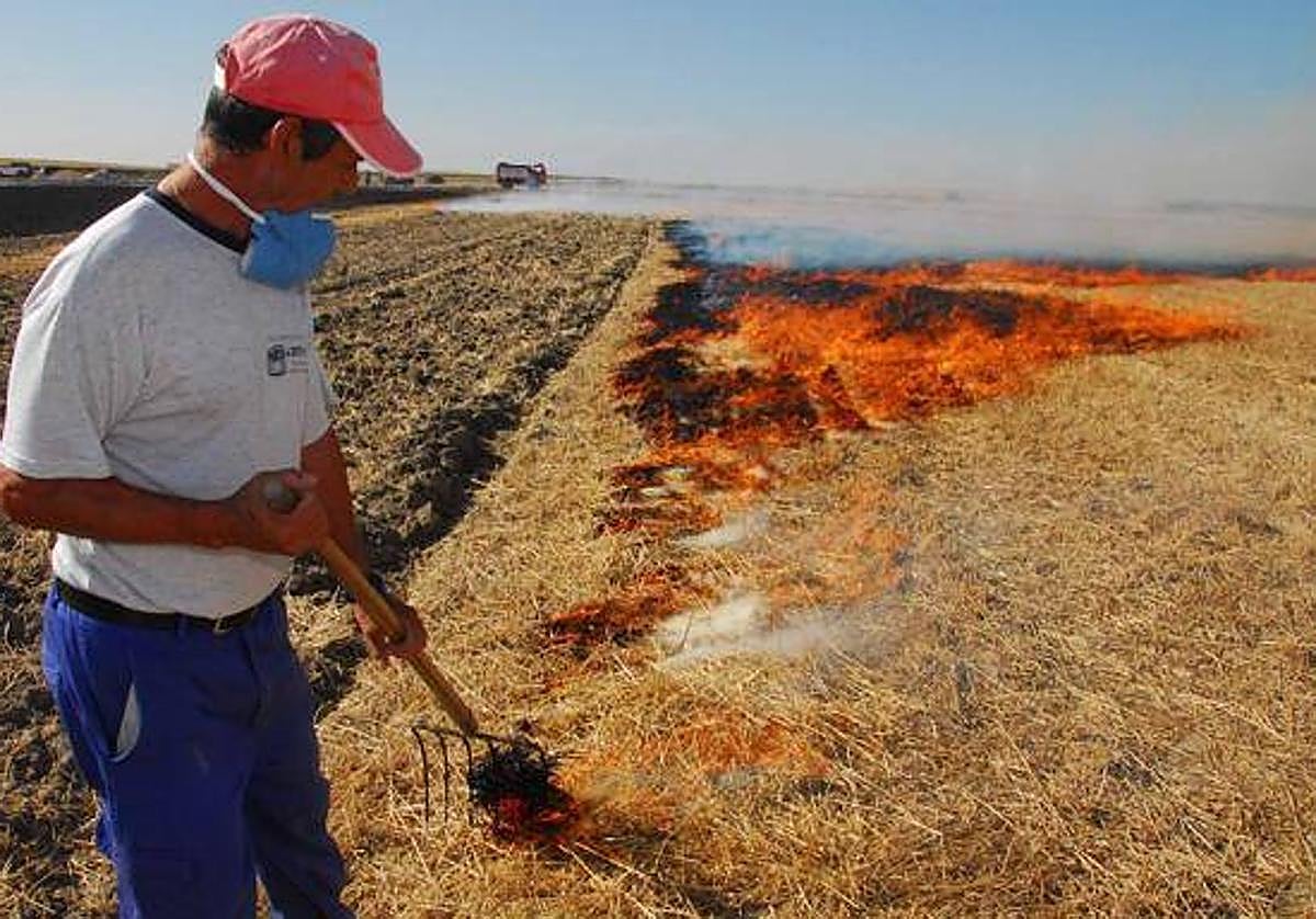 Estas son las condiciones para quemar rastrojos en terrenos agrarios
