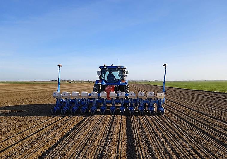 Siembra de remolacha, en los últimos días, en La Moraña, Ávila.