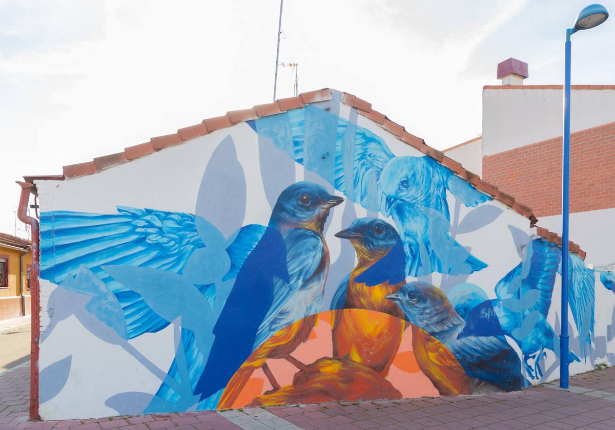 Ruta por el arte urbano de Valladolid