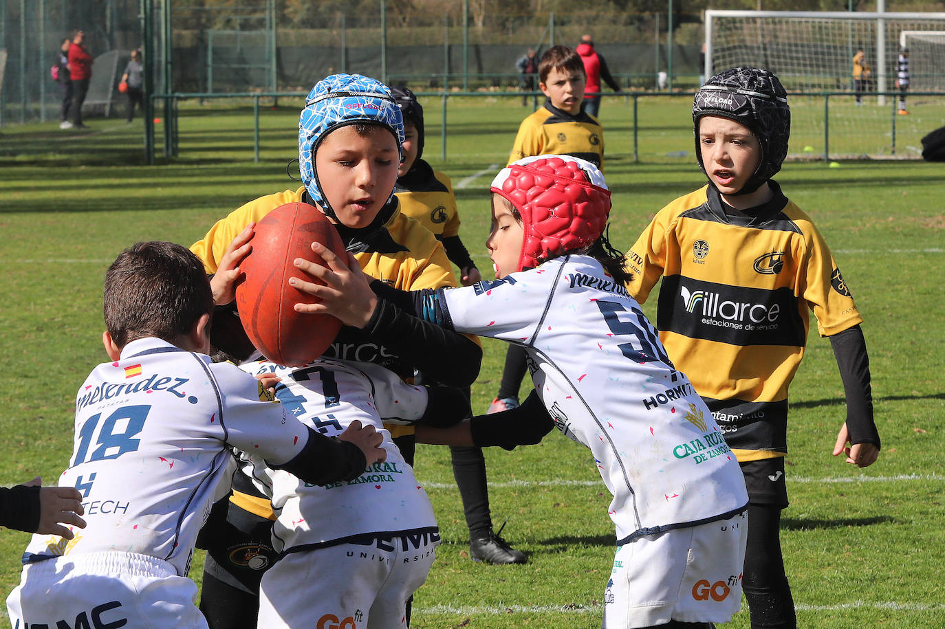 Palencia acoge la gran fiesta del rugby