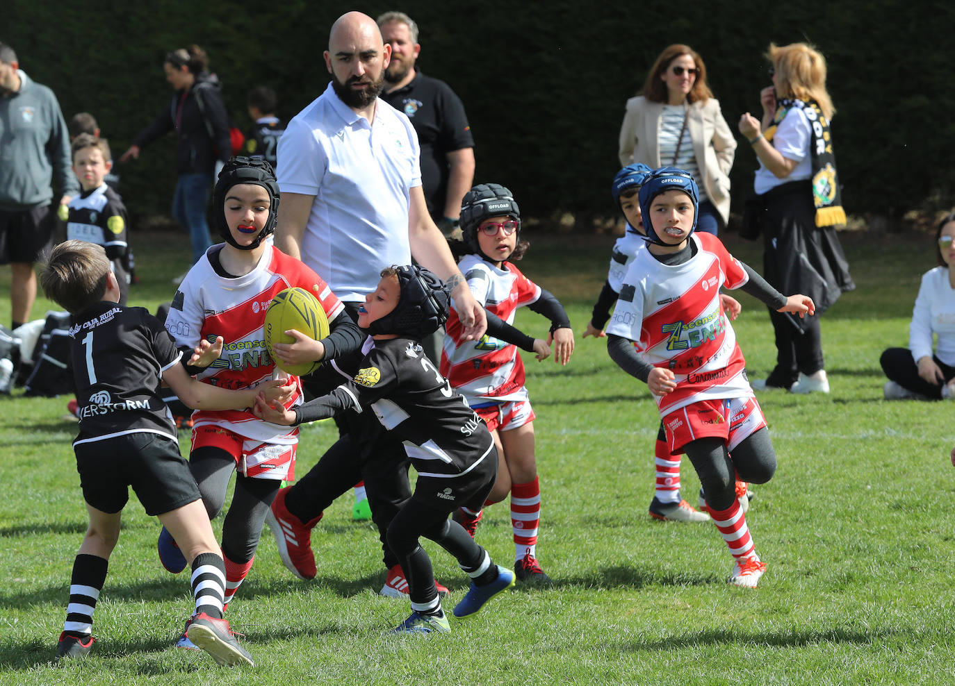 Palencia acoge la gran fiesta del rugby