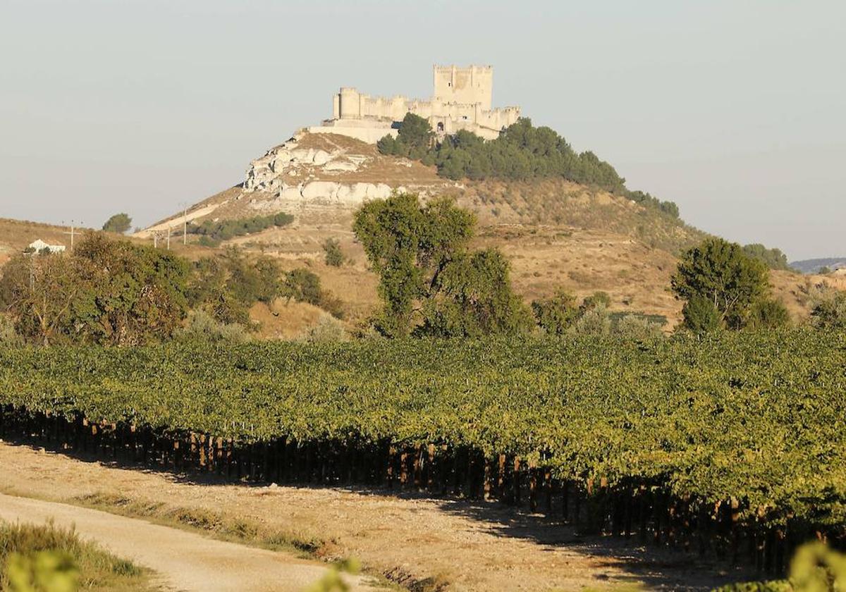 Vista del castillo de Peñafiel, en una imagen de archivo.