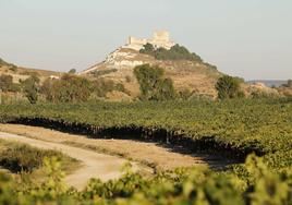 Vista del castillo de Peñafiel, en una imagen de archivo.