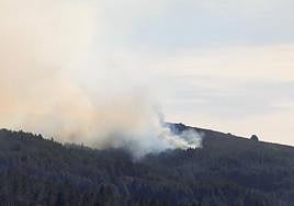 Una quema controlada de árboles en la zona de La Dehesa de la sierra de Candelario (Salamanca) ha provocado este miércoles un incendio forestal.