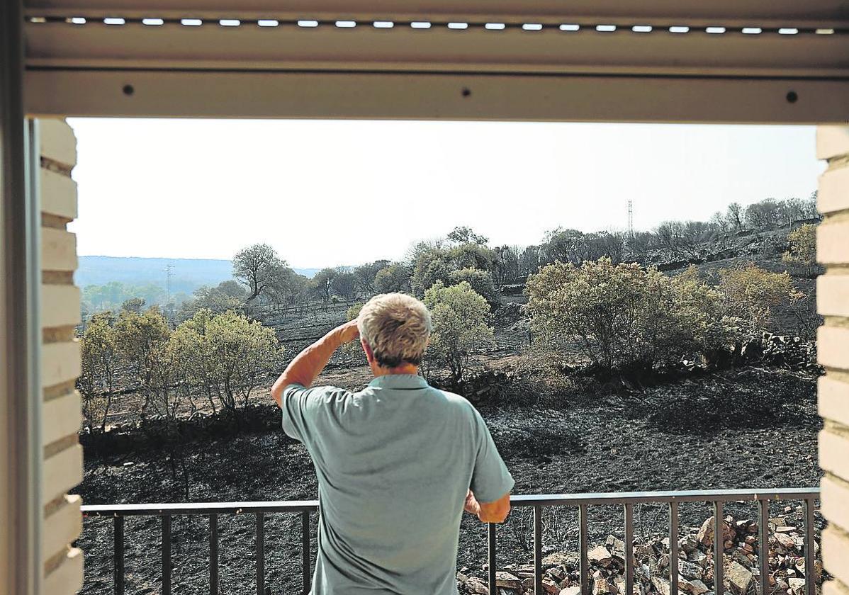 Un hombre contempla las consecuencias del incendio de Losacio, el verano pasado.