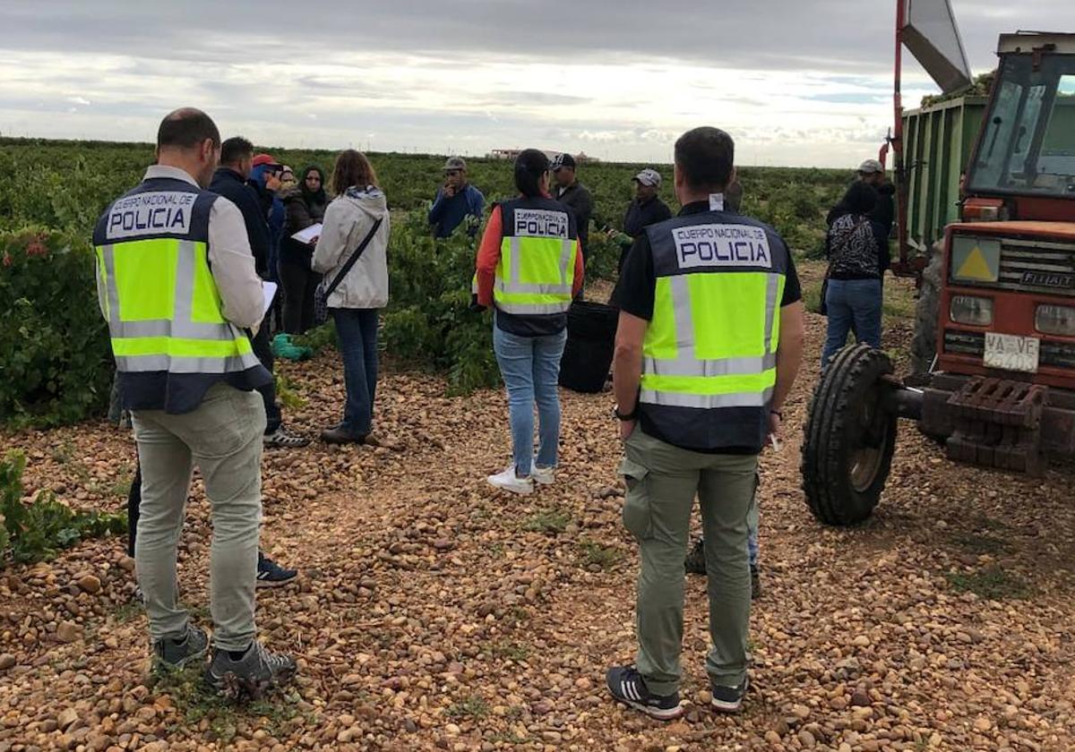 Agentes de la Policía Nacional identifican a los doce jornaleros en Villanueva de Duero.